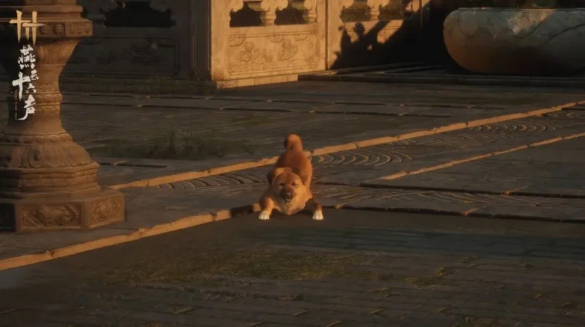 克里斯,布朗今夏巡,回演唱会将,太阳城,太阳城娱乐,太阳城app,太阳城赌场