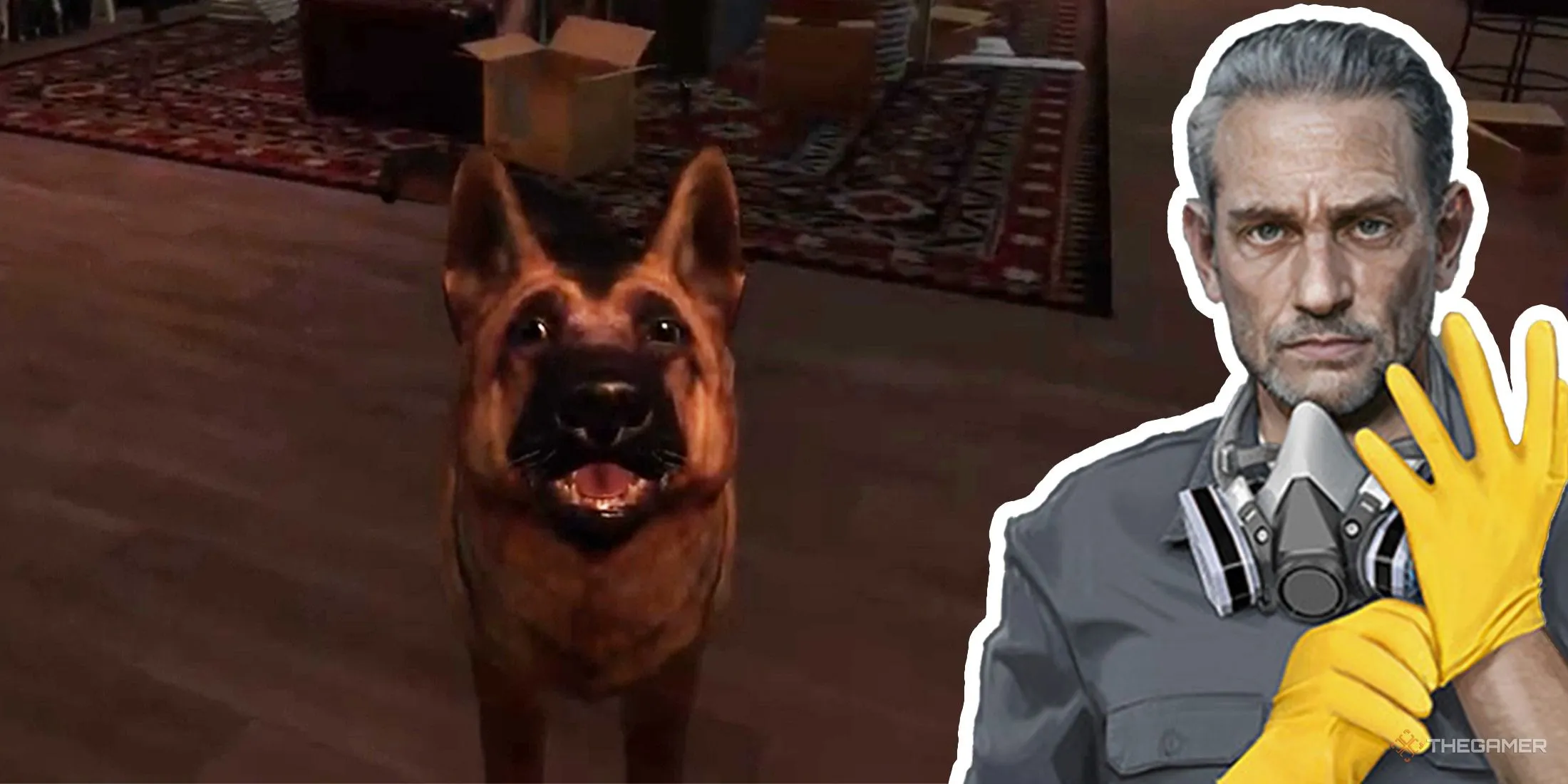 第八届世界,金融论坛年,会与,太阳城,太阳城娱乐,太阳城app,太阳城赌场