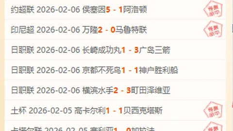 《孔帕尼：他如兄长般指导我，转会费30万欧？不过是小细节！》