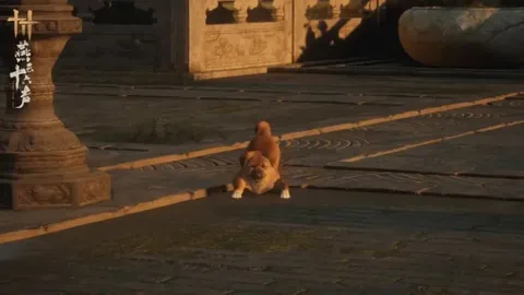 克里斯-布朗今夏巡回演唱会将于维拉公园球场举行——官方确认